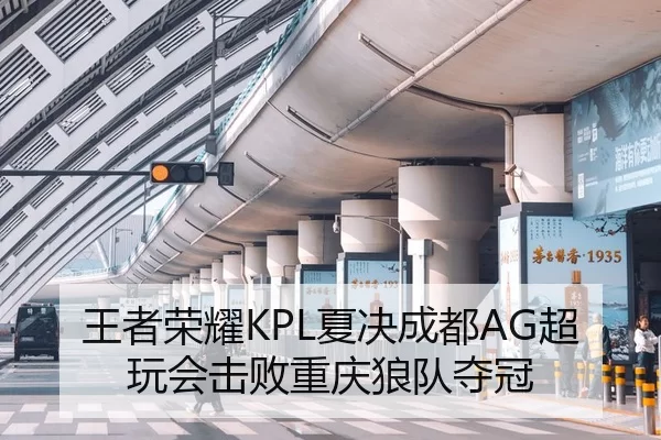 王者荣耀KPL夏决成都AG超玩会击败重庆狼队夺冠