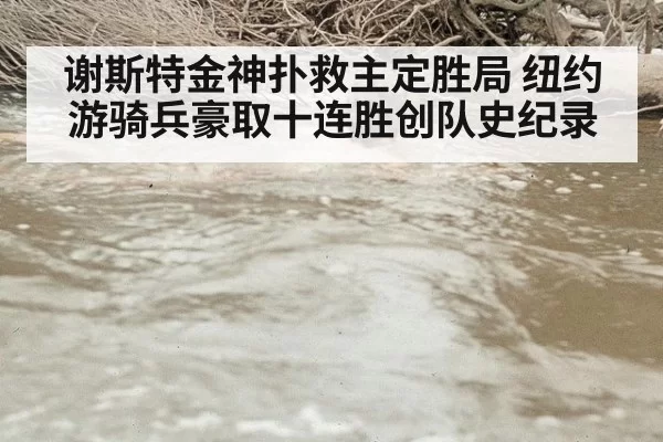 谢斯特金神扑救主定胜局 纽约游骑兵豪取十连胜创队史纪录